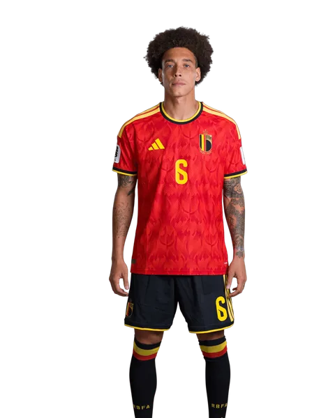 Axel Witsel