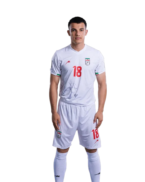 Amirhossein Hosseinzadeh