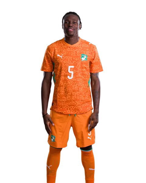 Wilfried Singo