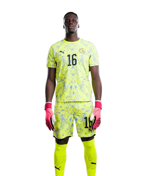 Édouard Mendy