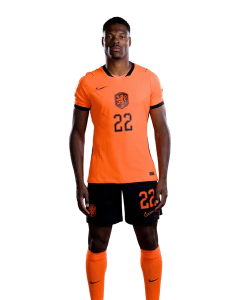 Denzel Dumfries
