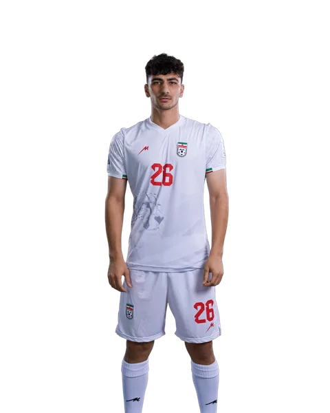 Amirmohammad Razzaghinia