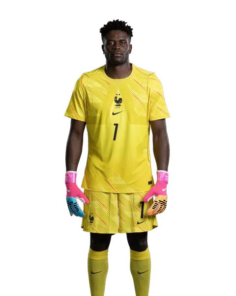 Brice Samba