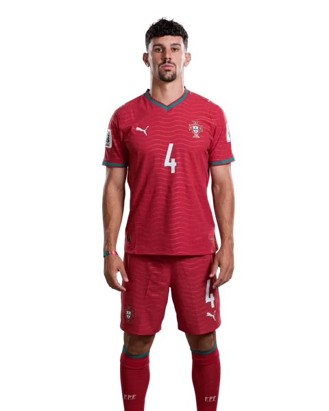 Tomás Araújo