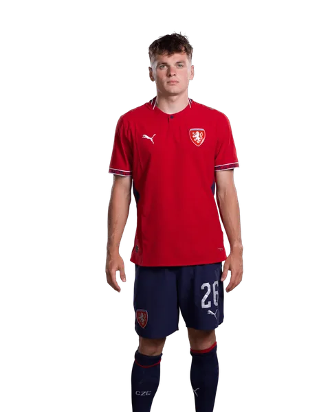 Denis Višinský